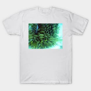 Bimini Fish T-Shirt